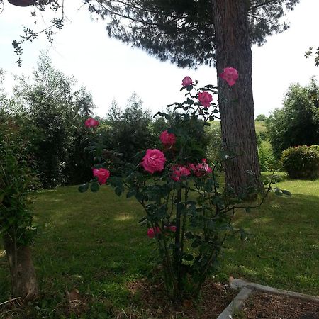 La Finestra Sul Cortile Bed & Breakfast Помеция Екстериор снимка
