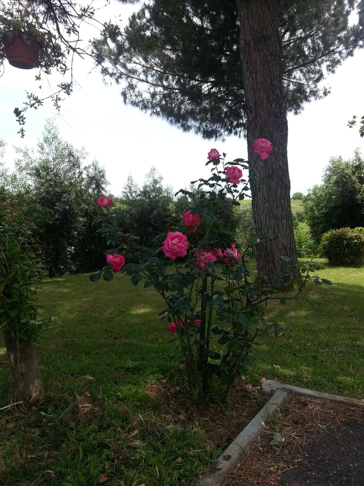 La Finestra Sul Cortile Bed & Breakfast Помеция Екстериор снимка